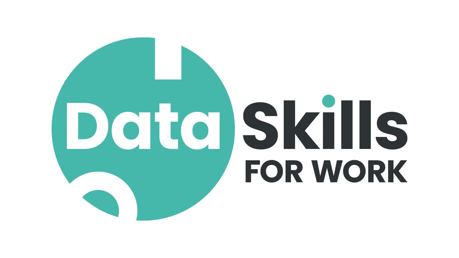Data Skills for Work